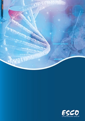 default brochure