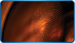 1,8 DIAZAFLUOREN 9 ONE%20(DFO) min - Finding Fingerprints