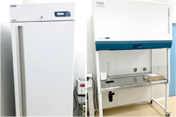 Esco Lifesciences - Lab Freezer, Ductless Fume hood - Thailand