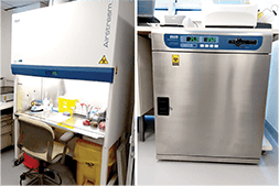 Esco Lifesciences - Biosafety Cabinet, Lab Oven - Middle East