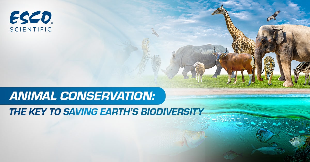 Animal Conservation: The Key to Saving Earth's Biodiversity | Esco  Scientific