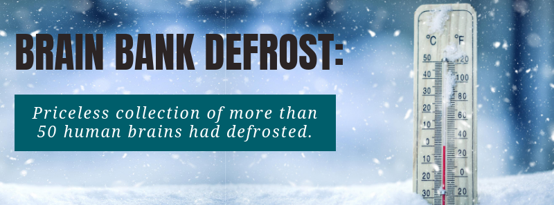 Brain Bank Defrost Brain Bank Defrost