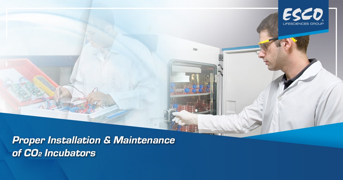 Guide to CO2 Incubator: Proper Installation and Maintenance 