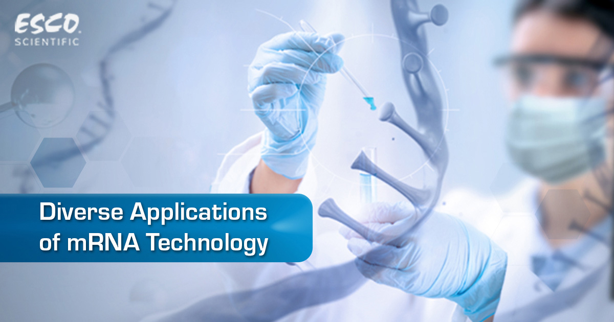 Diverse Applications of mRNA Technology