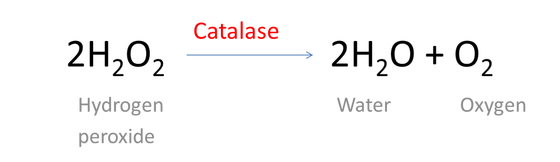 Hydrogen Peroxid Hydrogen Peroxid