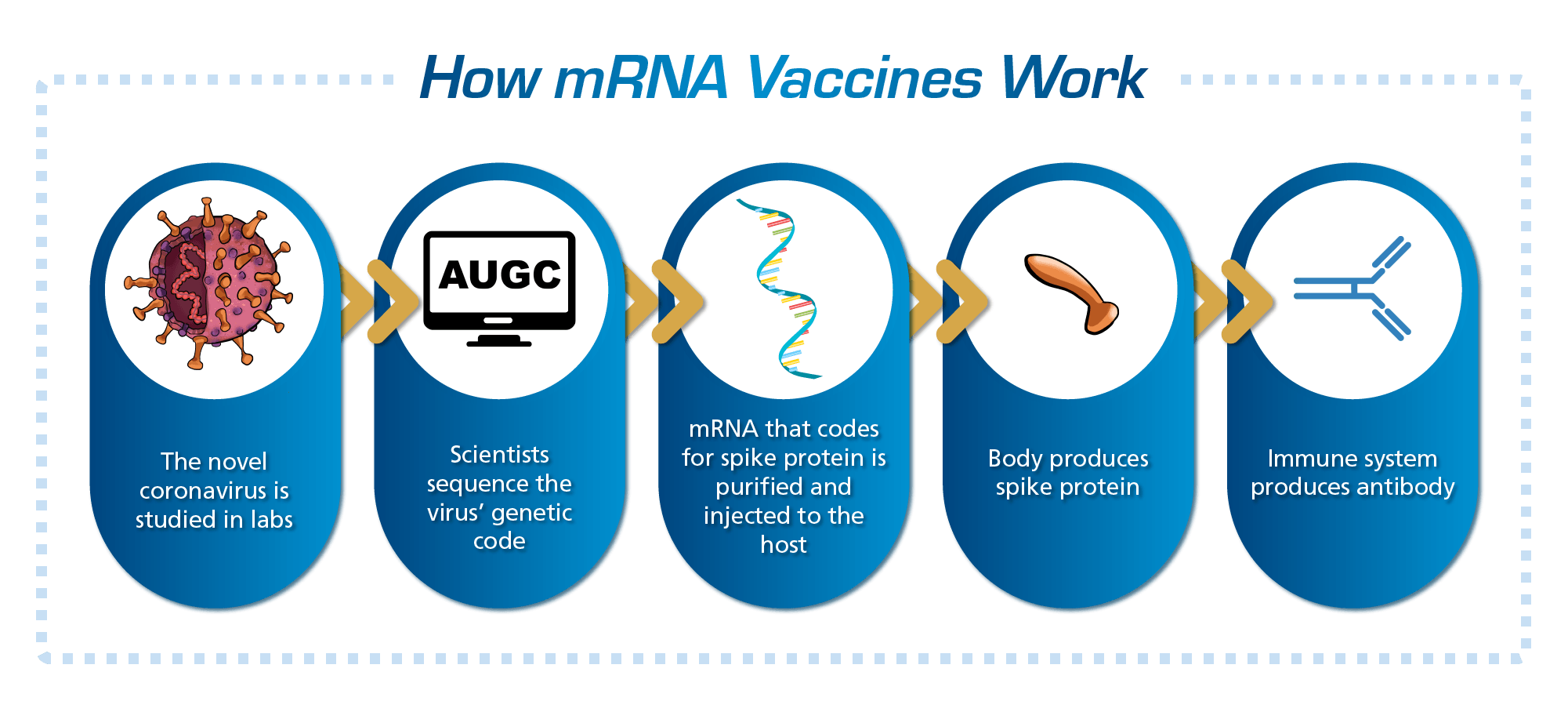 Figure 1. How mRNA Vaccines Work