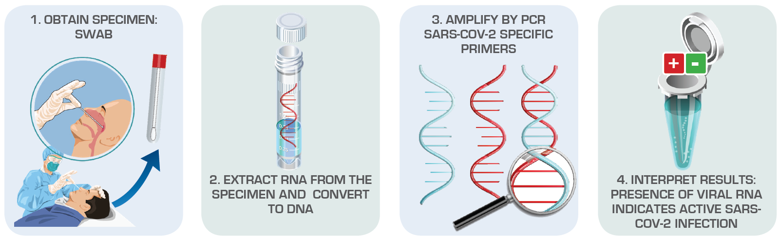 Viral Testing (Nucleic Acid Detection) Diagnose Active SARS-CoV-2 Infections Source: American Society for Microbiology Viral Testing (Nucleic Acid Detection) Diagnose Active SARS-CoV-2 Infections Source: American Society for Microbiology