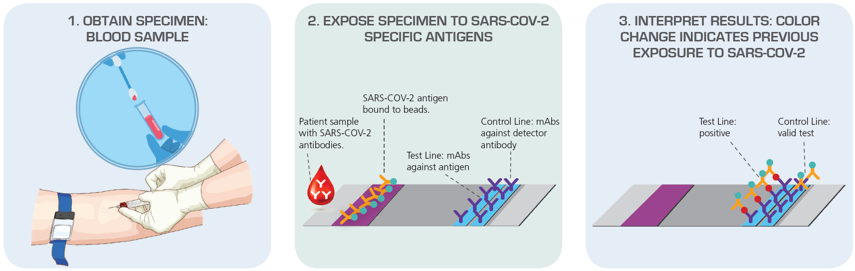 Antibody Test (Serology) Detect Immune Response to SARS-CoV-2 Exposure Source: American Society for Microbiology Antibody Test (Serology) Detect Immune Response to SARS-CoV-2 Exposure Source: American Society for Microbiology