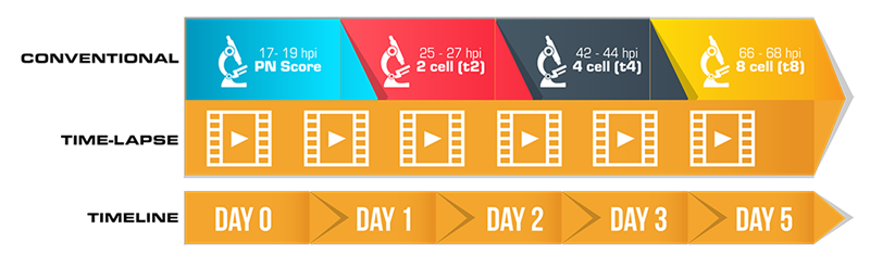 Morphokinetics versus Conventional Scoring Morphokinetics versus Conventional Scoring