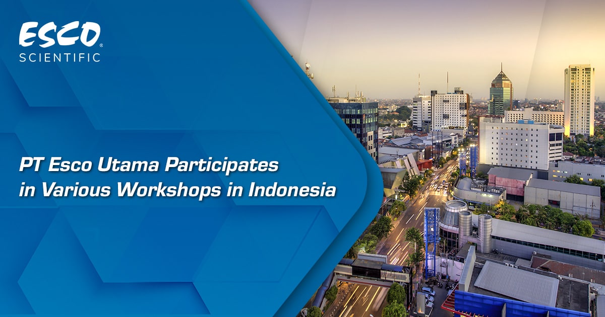 PT Esco Utama Participates in Various Workshops in Indonesia