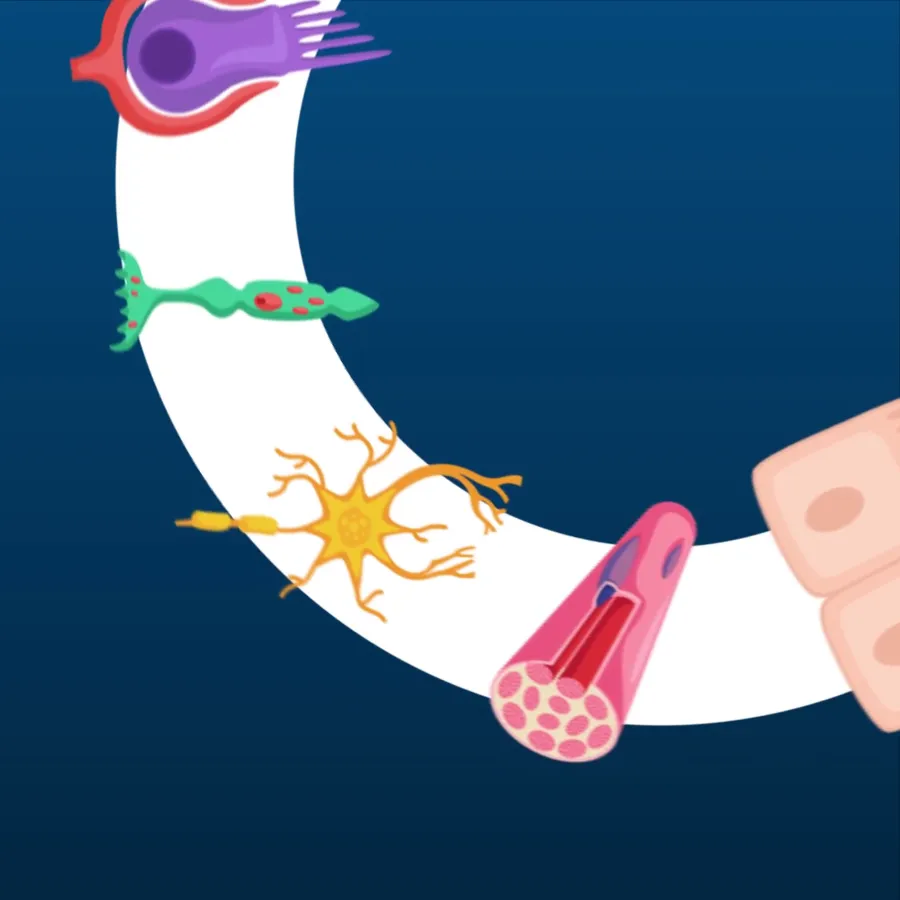 ACC Web Article Illustration Image