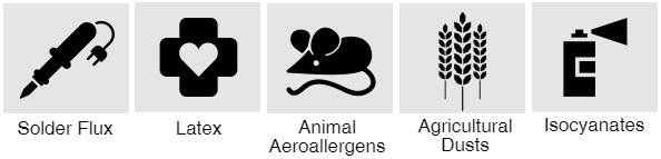 Allergic occupational asthma icons Allergic occupational asthma icons