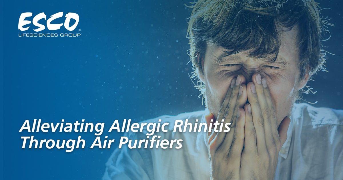 Best air purifier online for allergic rhinitis