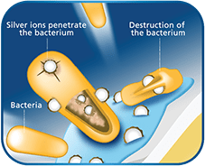 Antimicrobial powder coating