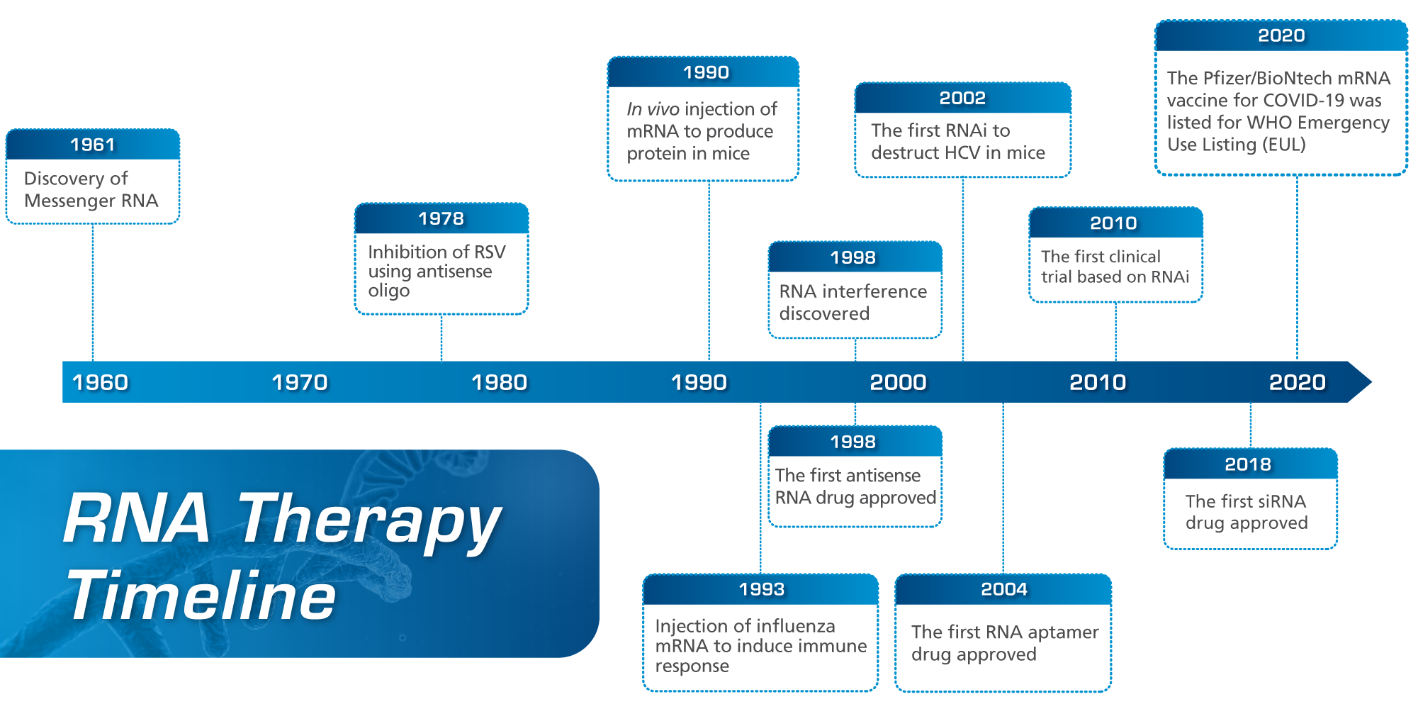 Figure 2. Timeline of Key Discoveries in RNA Therapy