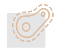 Bacteria icon Bacteria icon