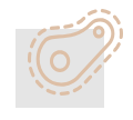 Bacteria icon