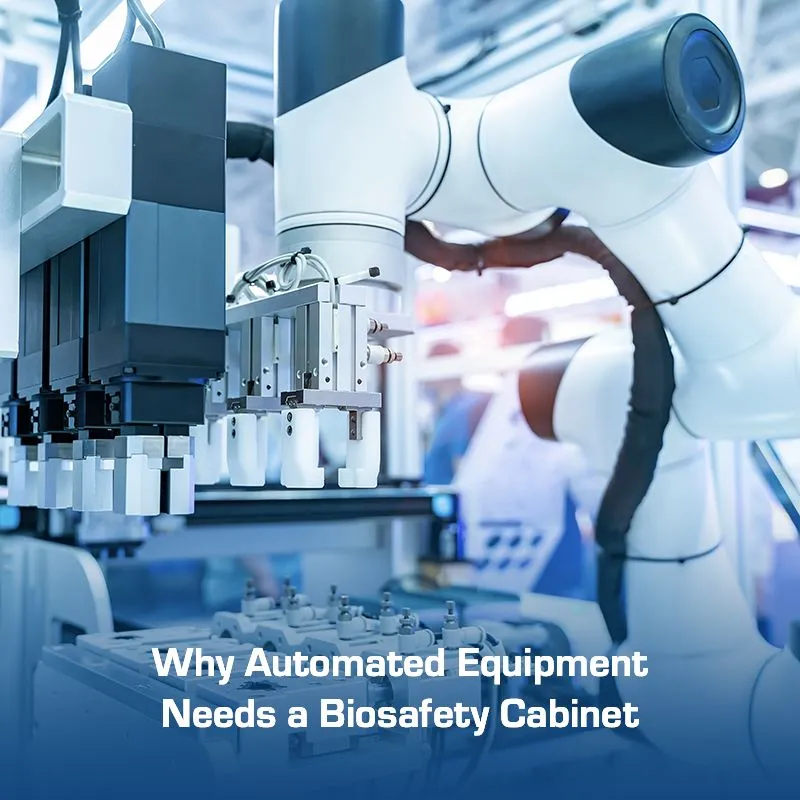 Can Large Automated Equipment Be Safely Integrated into a Biosafety Cabinet Illustration Image