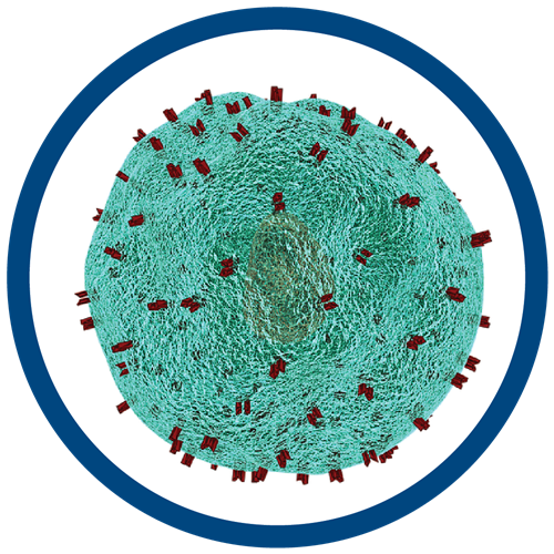 CAR T-Cell Therapy CAR T-Cell Therapy