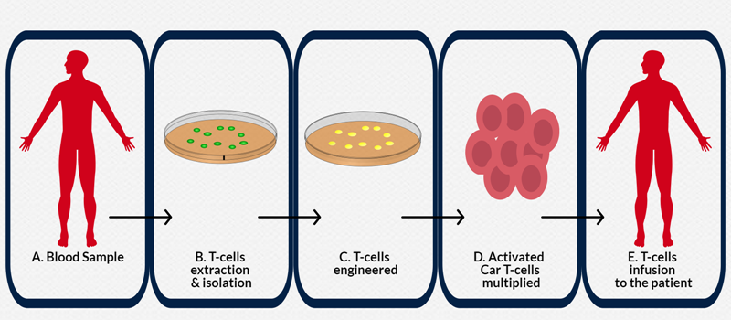 How CAR-T Cell Therapy Works?