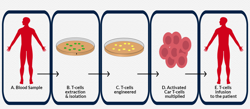 How CAR-T Cell Therapy Works? How CAR-T Cell Therapy Works?