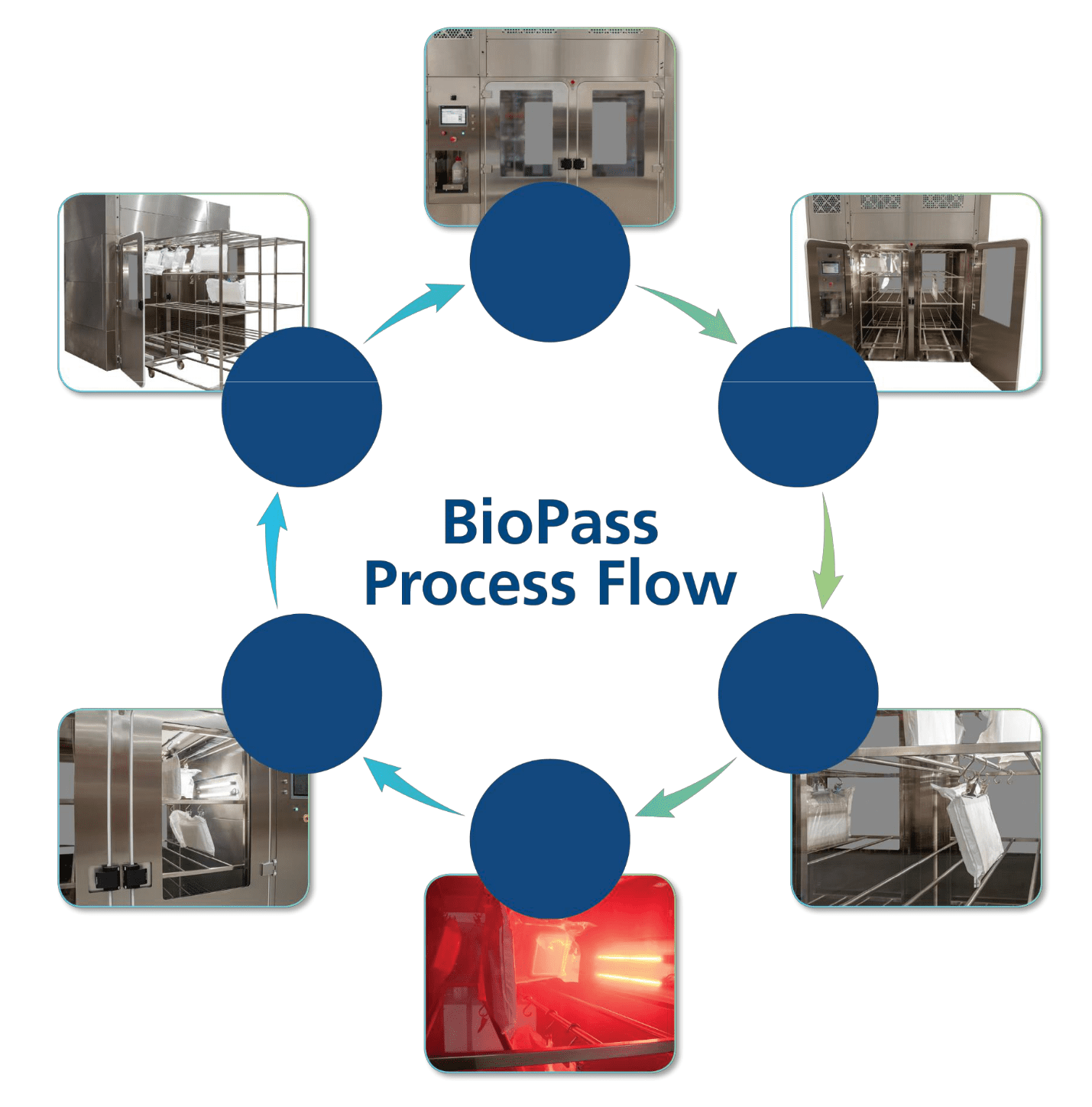 BioPass™ process flow