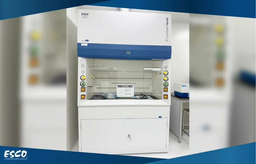Installed Fume Hoods
