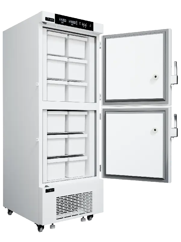 Explore the Freezer