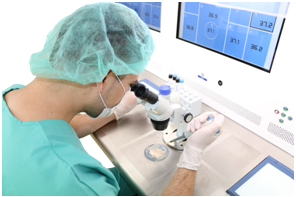 Fertilisafe IVF Workstation features