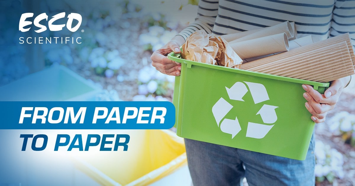The Paper Recycling Process Explained