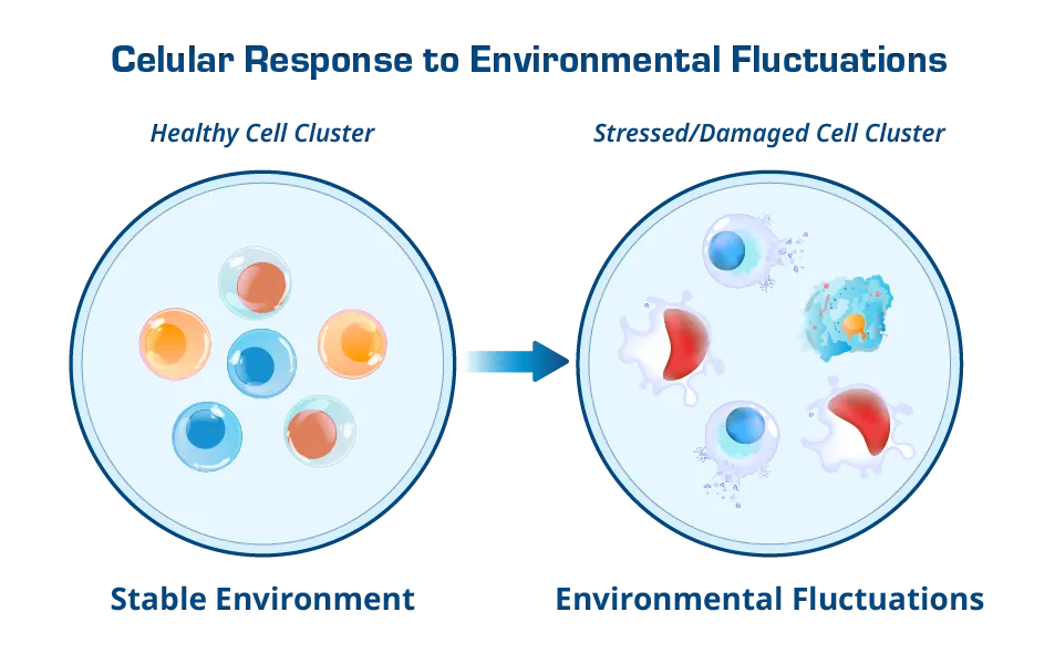 Growing Cells Illustration Image