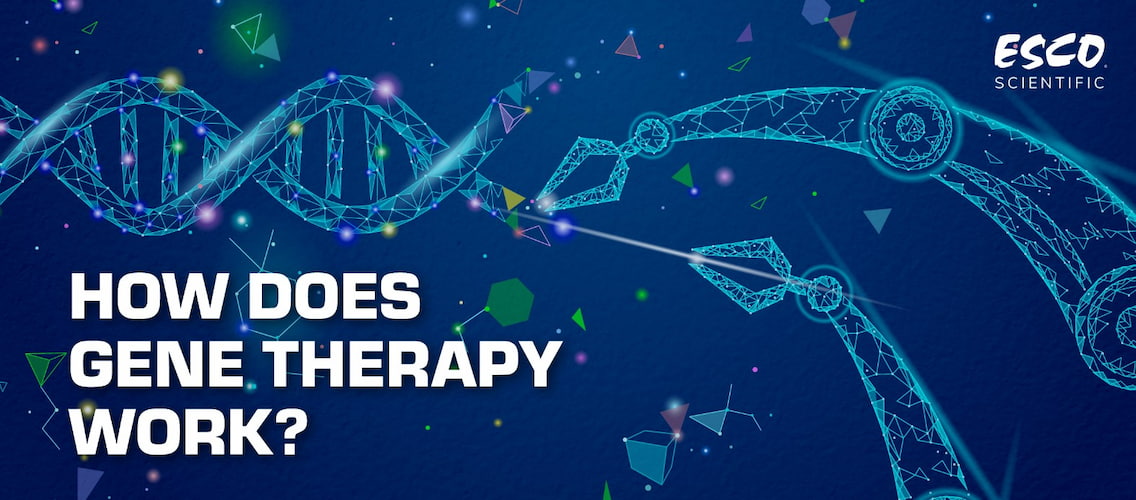how-does-gene-therapy-work
