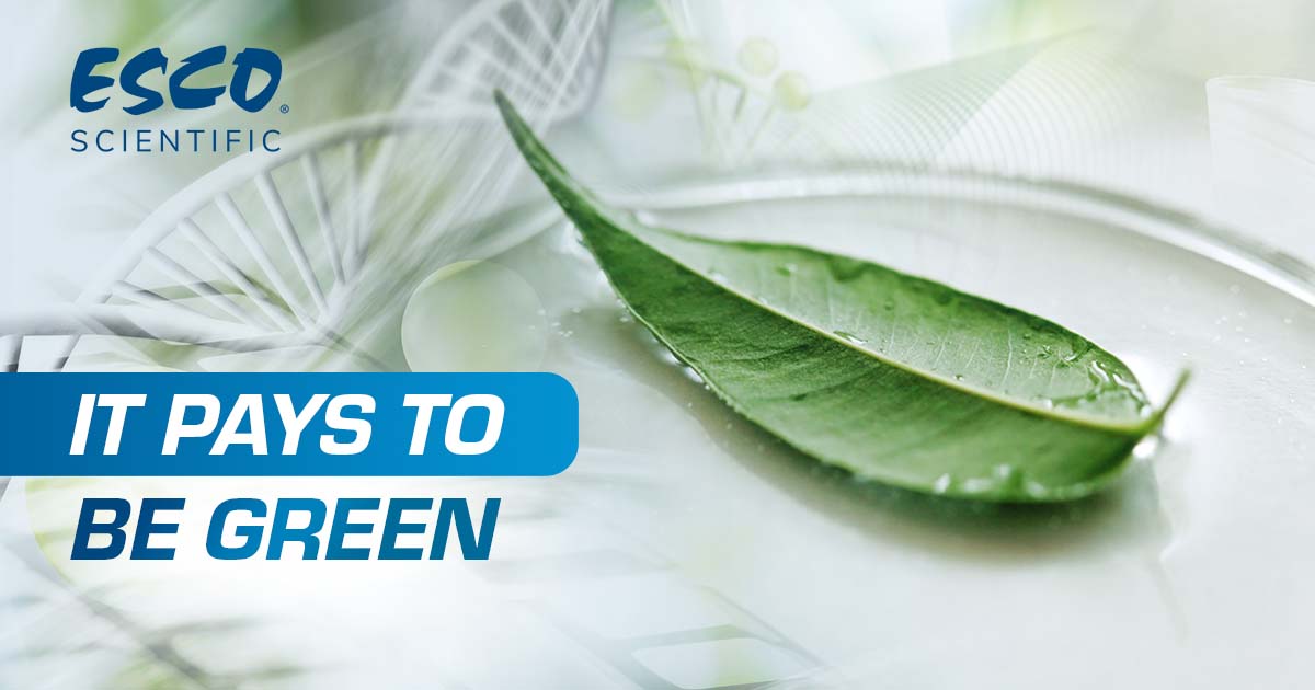 It Pays to Be Green 