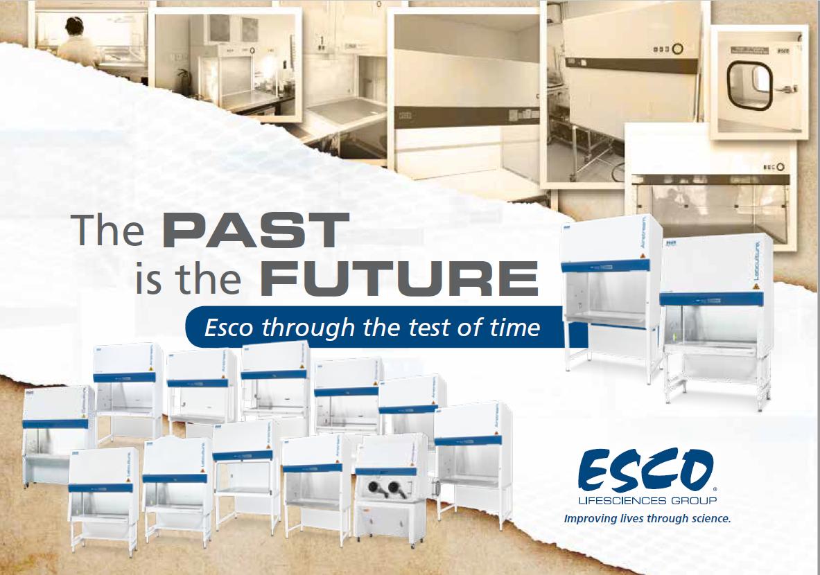 past-is-the-future.jpg