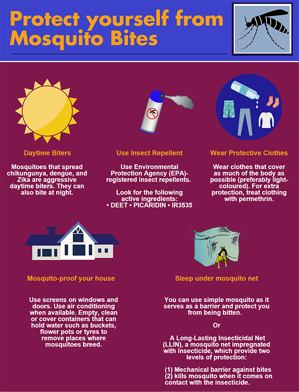 Protect yourself from Mosquito Bites Flyer Protect yourself from Mosquito Bites Flyer