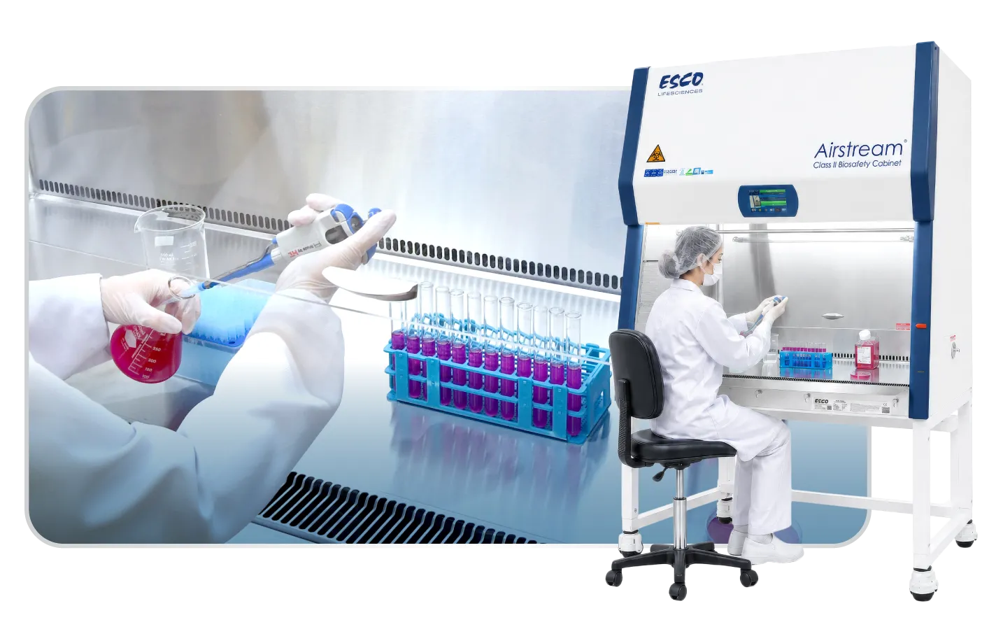 Scientist working inside a biological safety cabinet