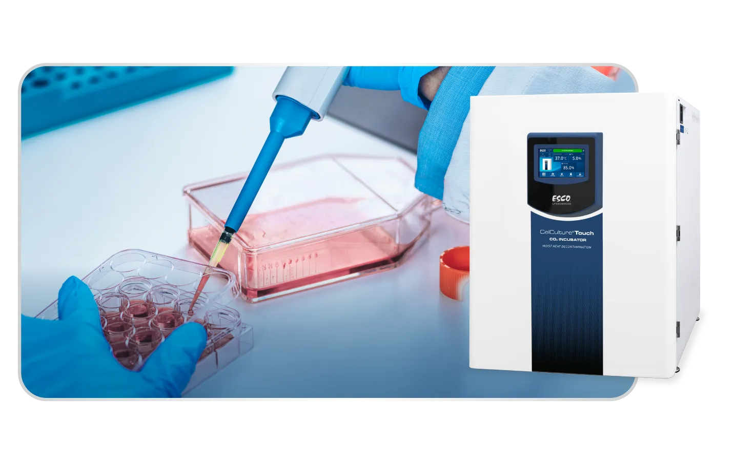 CO₂ incubator with cell culture imagery