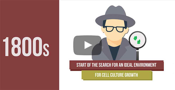 The evolution of CO2 Incubator video