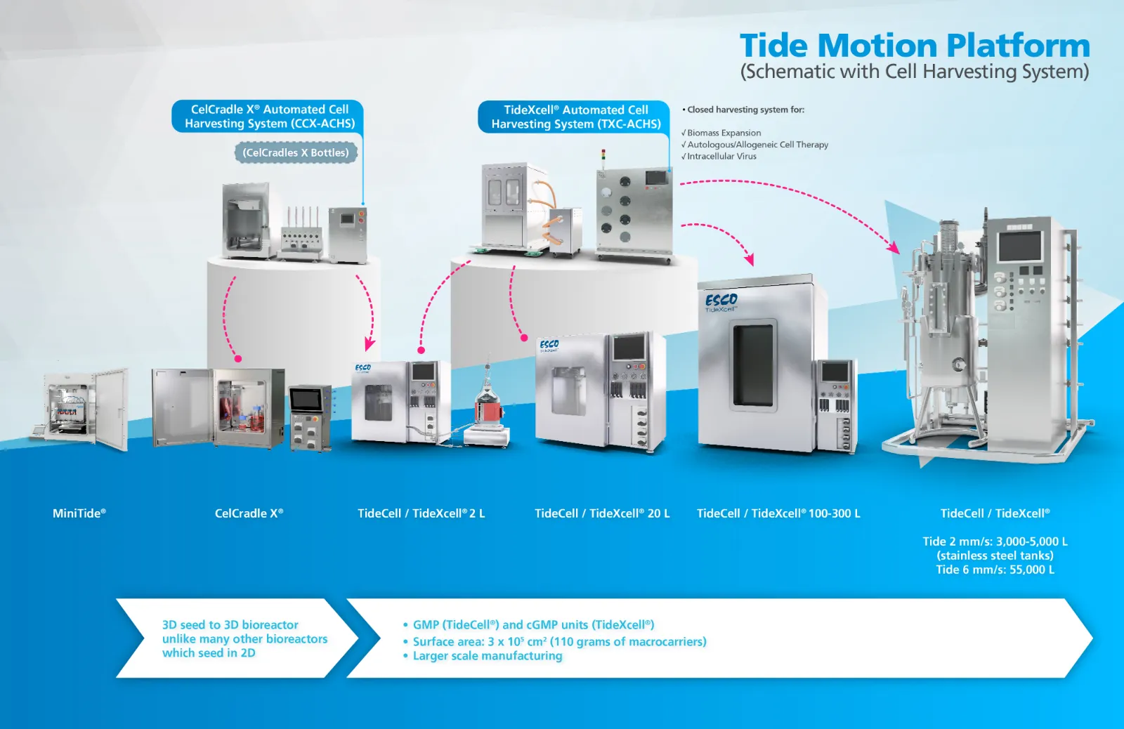 Tide Motion Bioreactors