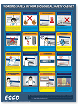 Working Safely in your BSC poster